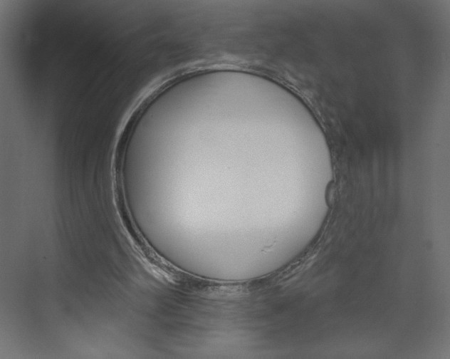 X0000073990102200608211052