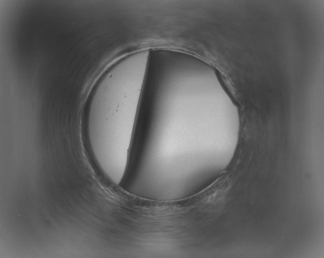 X0000073990103200608211052