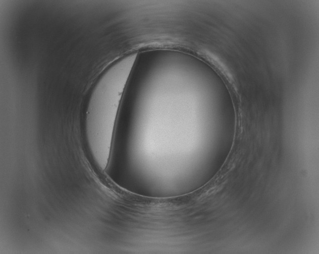 X0000073990105200608211052