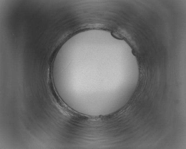 X0000073990110200608211052