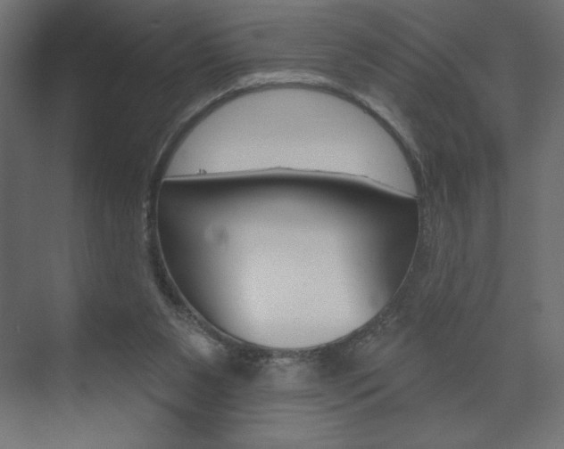 X0000073990111200608211052