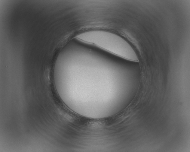 X0000073990115200608211052