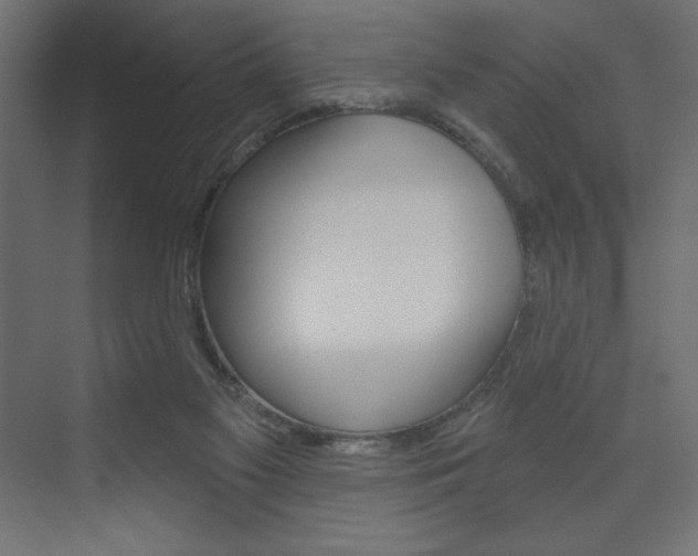 X0000073990117200608211052