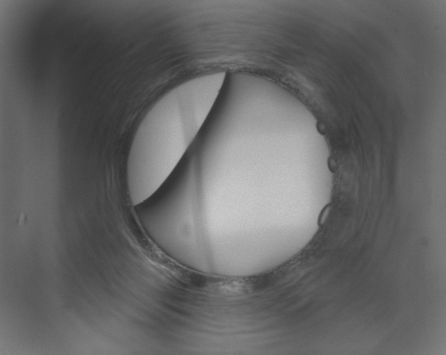 X0000073990118200608211052