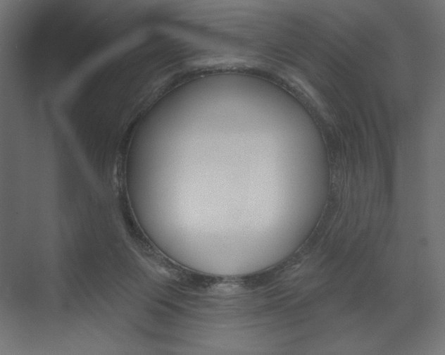 X0000073990119200608211052