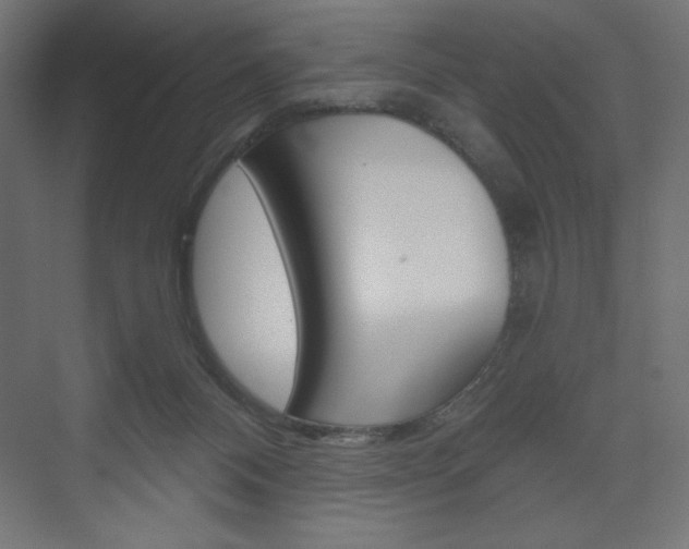 X0000073990120200608211052