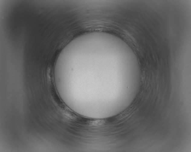 X0000073990122200608211052