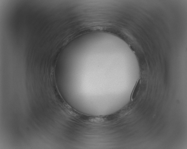 X0000073990125200608211052