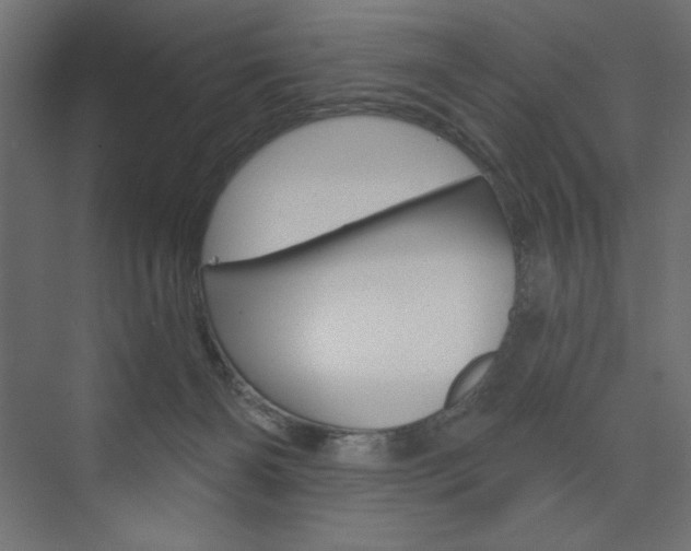 X0000073990126200608211052