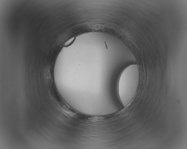 X0000073990128200608211052