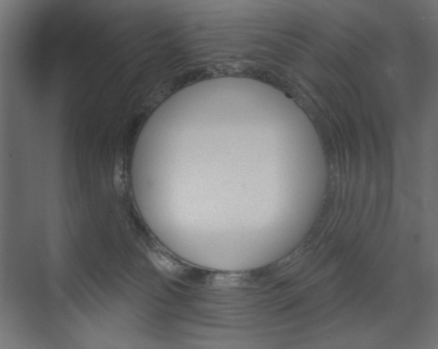 X0000073990134200608211052