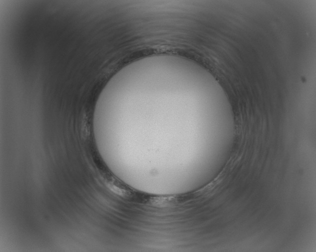 X0000073990136200608211052