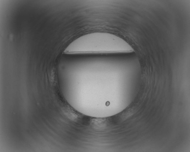 X0000073990139200608211051