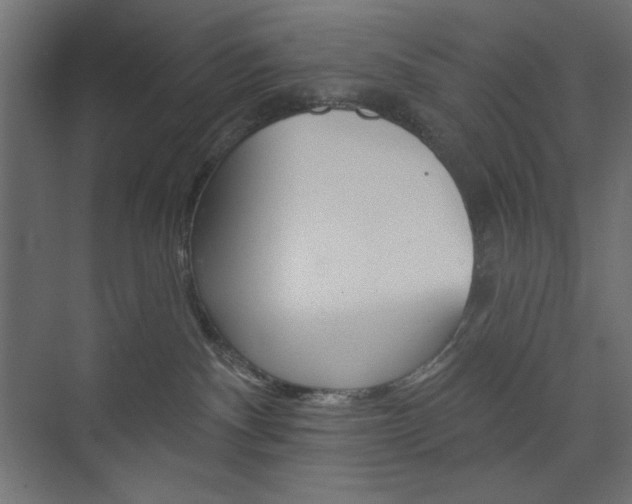 X0000073990140200608211051