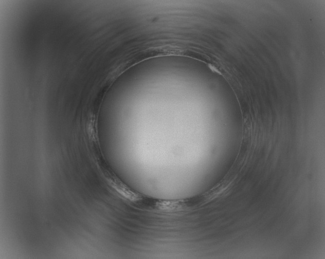 X0000073990141200608211051