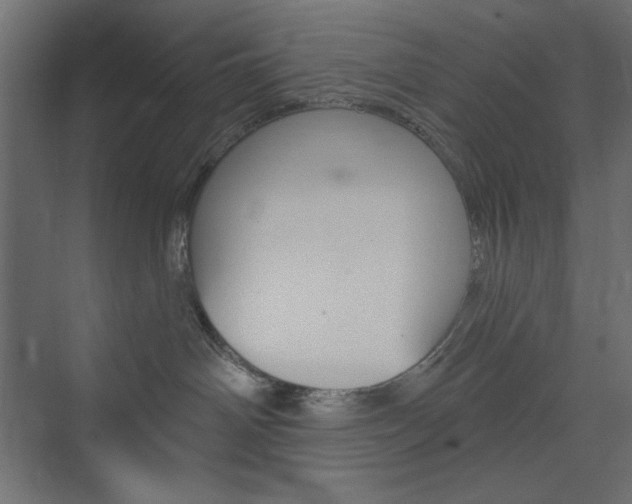 X0000073990142200608211051