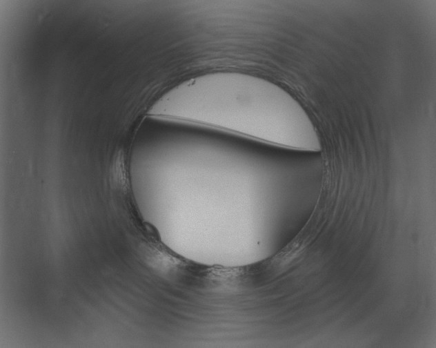 X0000073990143200608211051