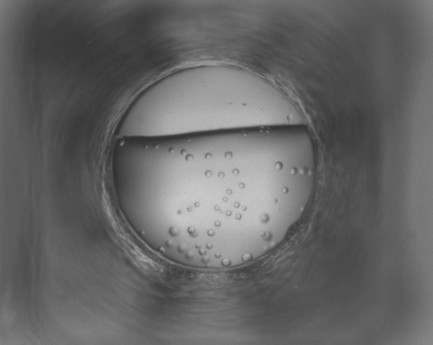 X0000073990145200608211051