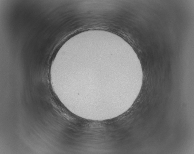 X0000073990146200608211051