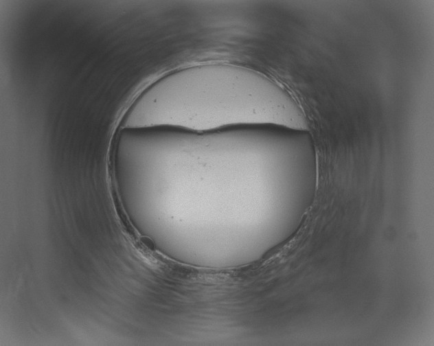 X0000073990147200608211051