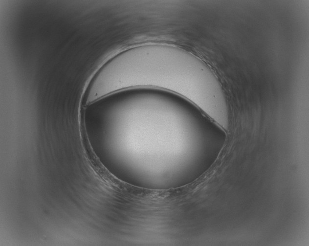 X0000073990148200608211051