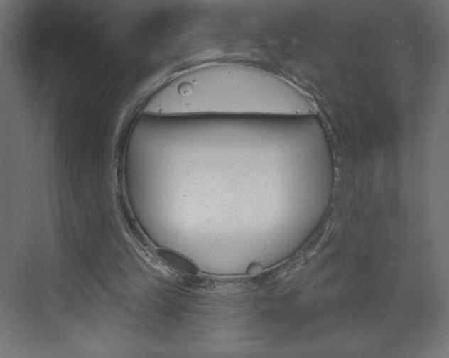 X0000073990149200608211051