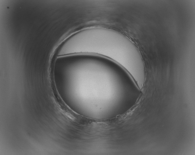 X0000073990150200608211051