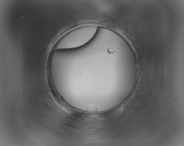 X0000073990151200608211051