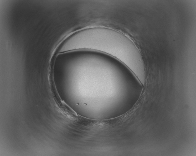 X0000073990152200608211051