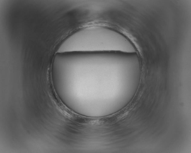 X0000073990153200608211051