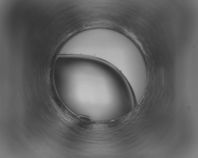 X0000073990154200608211051