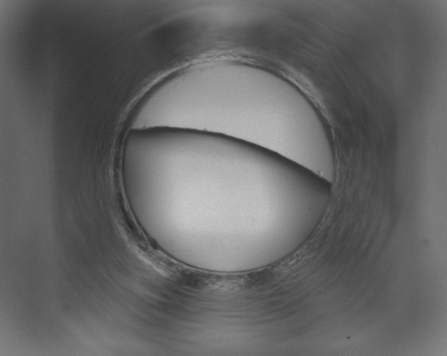 X0000073990155200608211051