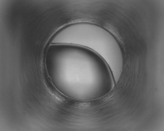 X0000073990156200608211051