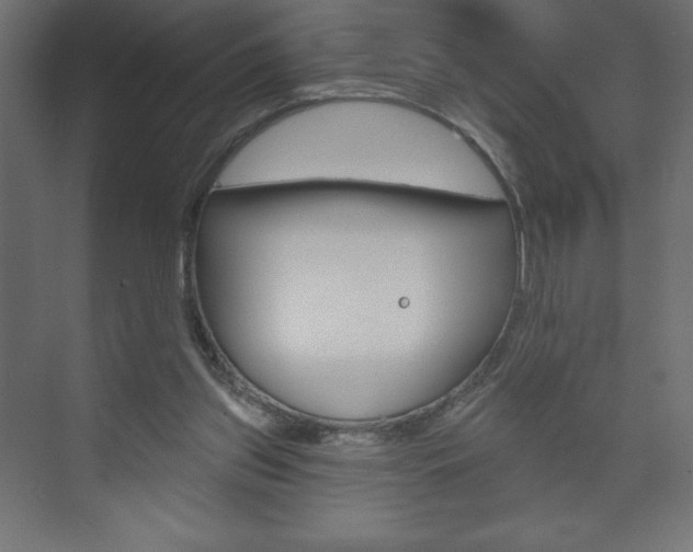 X0000073990157200608211051