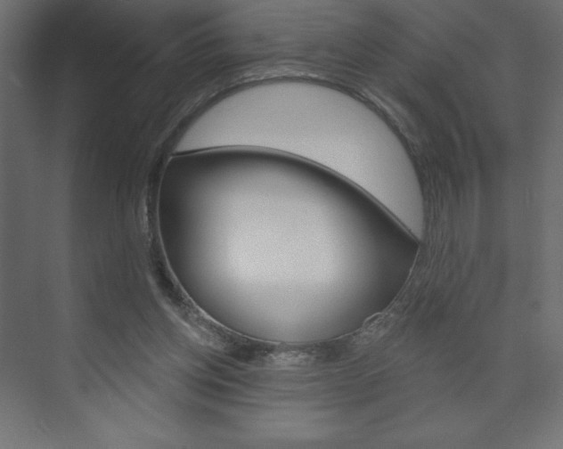 X0000073990158200608211051