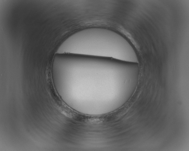 X0000073990161200608211051