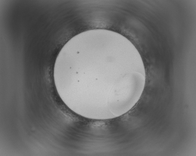 X0000073990162200608211051