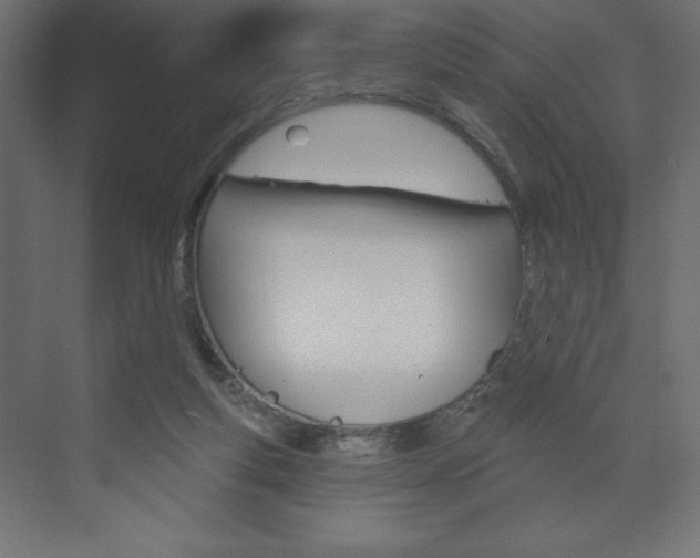 X0000073990163200608211051