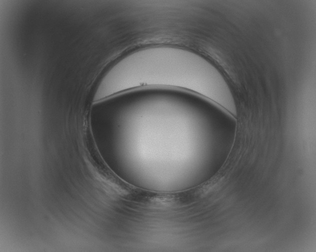 X0000073990164200608211051