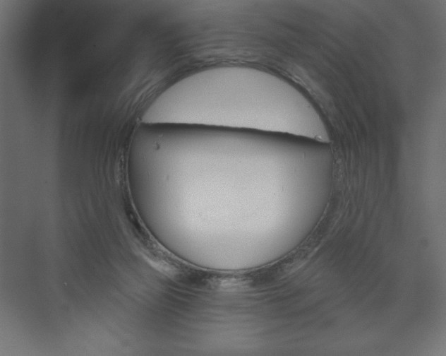 X0000073990165200608211051