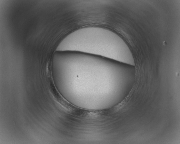 X0000073990166200608211051