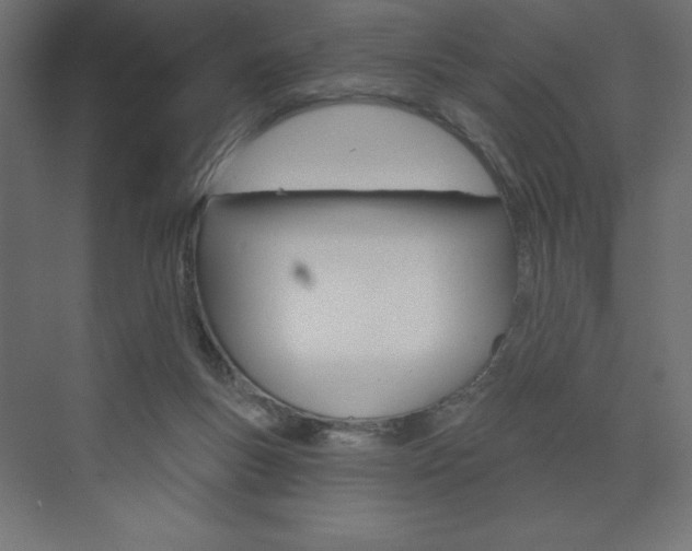 X0000073990167200608211051