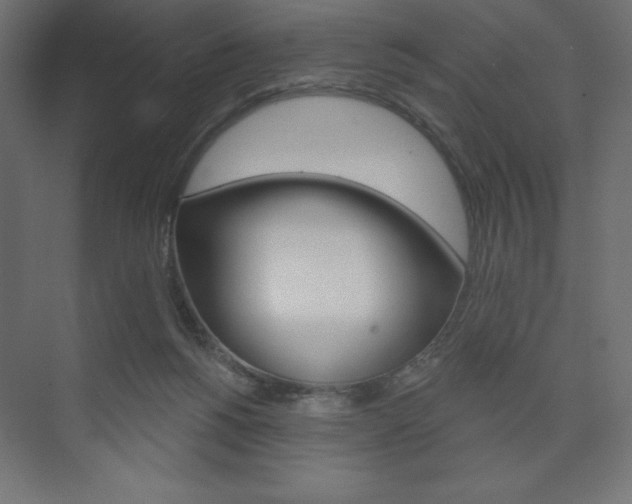 X0000073990168200608211051