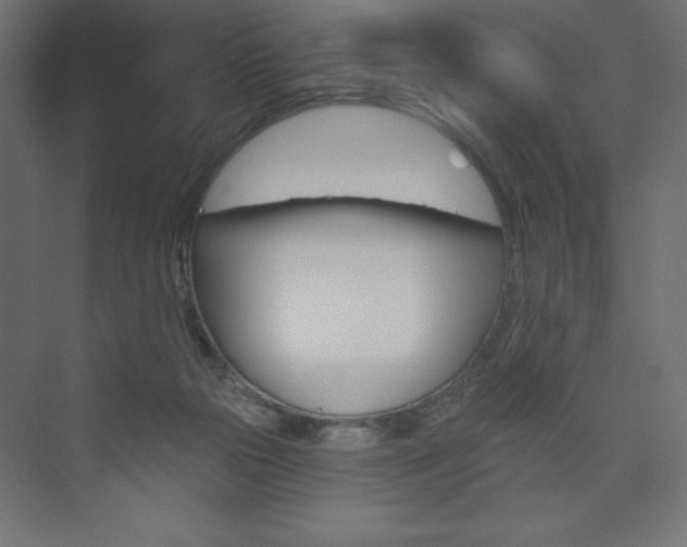 X0000073990169200608211051