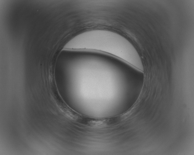 X0000073990170200608211051