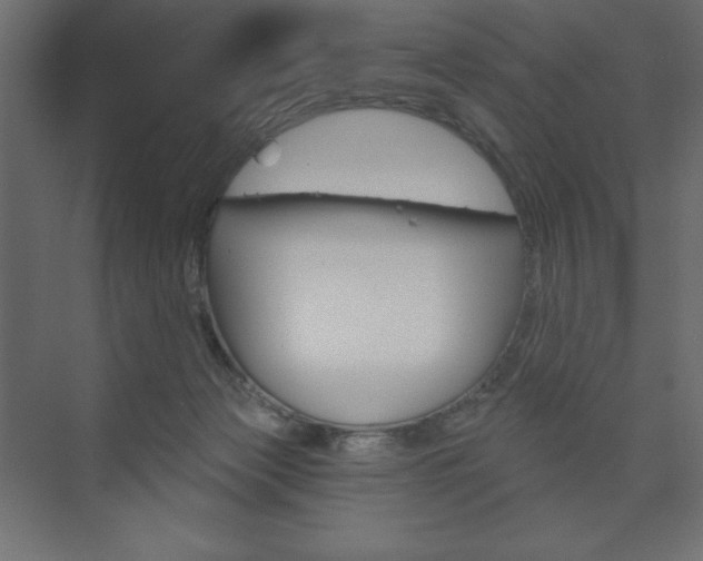 X0000073990173200608211051