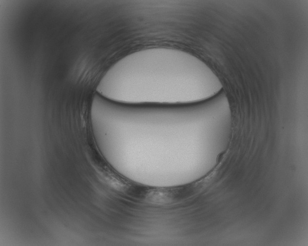 X0000073990174200608211051