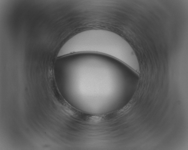 X0000073990176200608211051