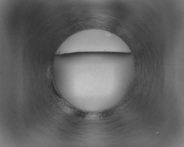 X0000073990177200608211051