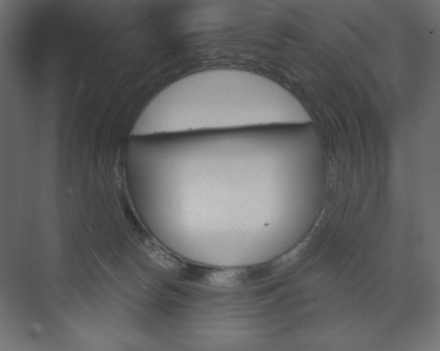 X0000073990178200608211051